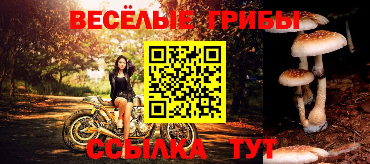 Дубна  Галлюциногенные грибы GOLDEN TEACHER  Вход с VPN 