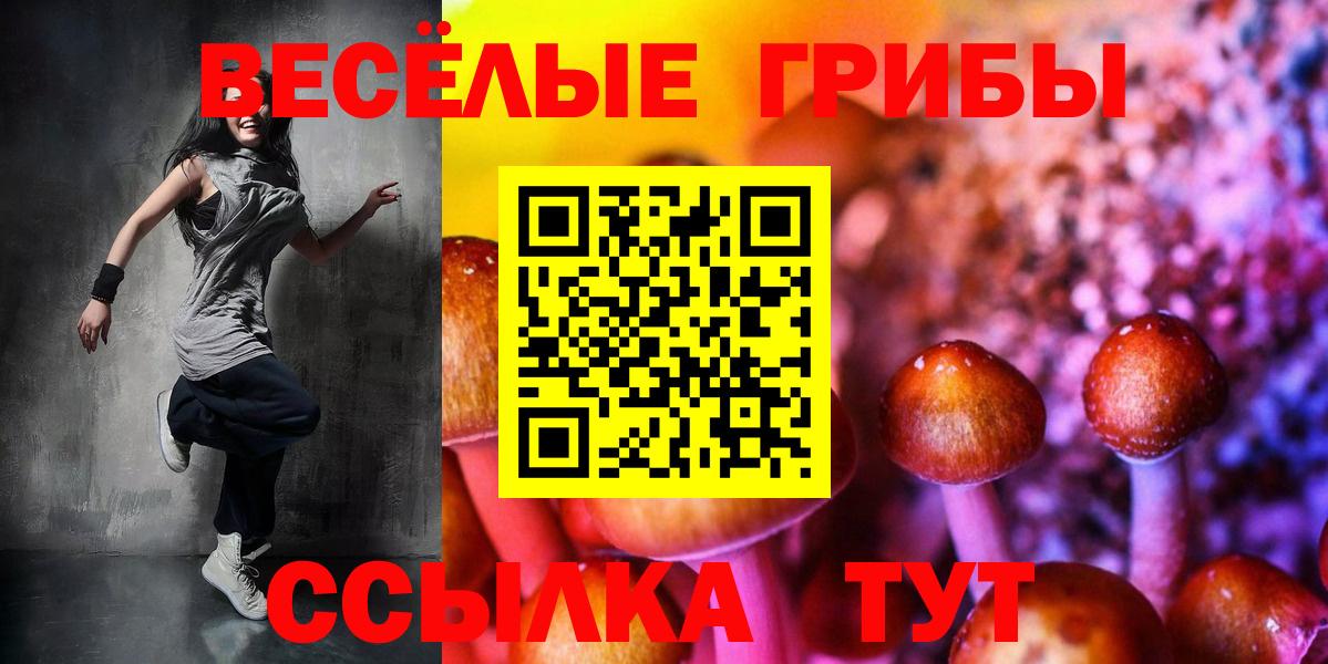 Псилоцибиновые грибы ЛСД Дубна